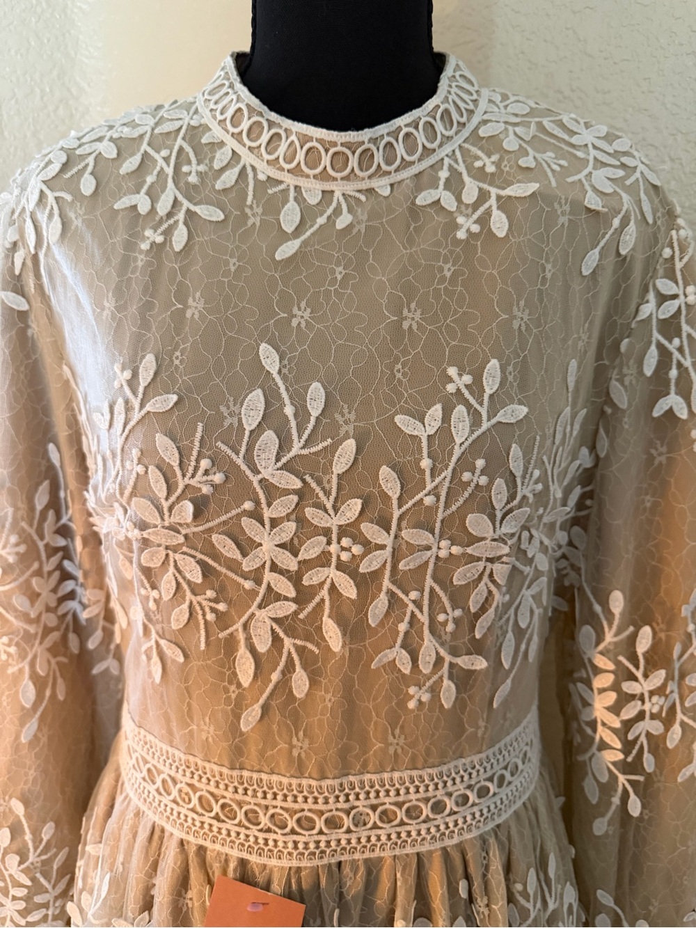 Ivy City Co Lace Overlay Tea-Length Dress in Ivory and Nude - Picture 4 of 7